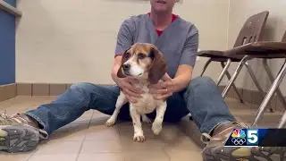 Pet Connection: March 21, 2024