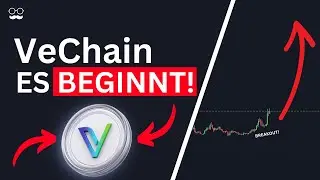 VECHAIN OFFIZIELL IM BULLRUN!? | PREISZIELE + KAUFZONEN | Prognose 2024