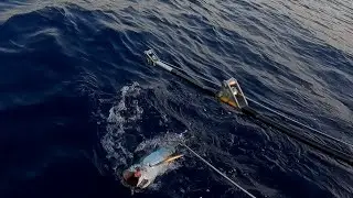 Kıbrıs Olta ile Albacore Avı & Yarıṣı 🏆🥇Albacore Race With Cyprus Fishing Rod @mertpiroglu