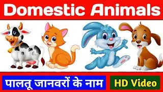Pet animals name - Domestic animals name - Learn animals name - पालतू जानवरों के नाम - Animals Name