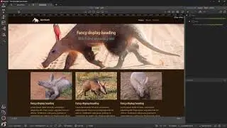 Publishing the Website to Google Firebase