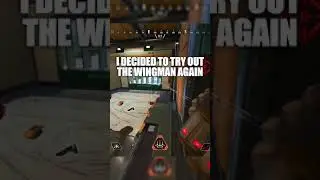 WINGMAN + AIM ASSIST = 