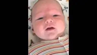 Два месяца Льву