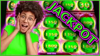 Our biggest win on mighty cash double up