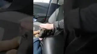Арни год назад.
