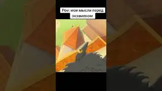 19 мая 2024 г.