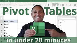 Excel Pivot Tables: Everything You Need to Know in Under 20 Minutes