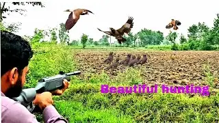 Birds Hunting With Airgun | Hunting 2022!
