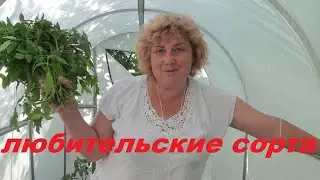 СРОЧНО! Подвязать Индийское мясо! Укоренить Вову Путина!