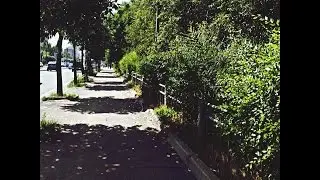 VLOG/2 часть