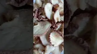 Camilan Laut Madura Kimo Siput Laut Bebas Gluten Kaya Manfaat Teman Santai Cocok Buat #oleholeh
