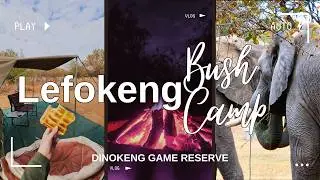 Camping at the only big 5 reserve in Gauteng | Dinokeng Game Reserve 🇿🇦