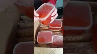 Распаковываем посылку с Дальнего востока: икра и кедровый орех