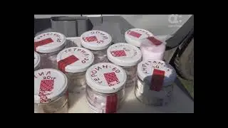 Как это устроено. Кинология