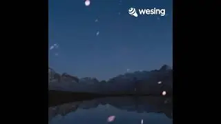 Ai Shang Ei Ge Bu Hui Jia De Ren