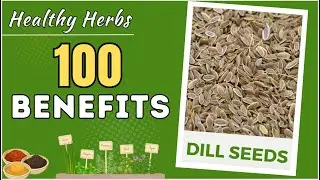 The Top 100 Benefits of Dill Seeds | Health Benefits of Dill Seeds | FoodSant