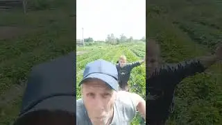 убегаю без оглядки