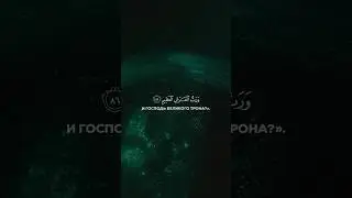 Умар Сильдинский🫀🎧