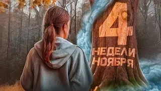 4 недели ноября: узнайте как прожить этот месяц!