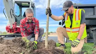 Tips for Planting a Tree