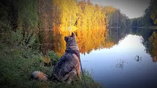 ХУЯК!!!  И ПЯТЬДЕСЯТ...😎
