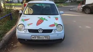 30 сентября 2018г. ДХО на Lupo