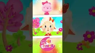 Chante et Danse avec les Titounis | Musiques et Chansons Enfants (123 les moutons) #bébé #comptine