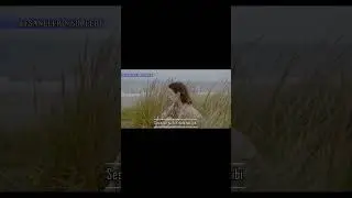 Nazım Hikmet RAN - Bağışla (Ziya KAYNAK)  #shortsfeed #shortsviral #shortvideo #şiir #şiirheryerde