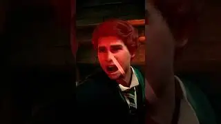 Sebastian Sallow 🪄 Human