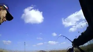 Выход на  карпа . Часть 4 . Начало положено .