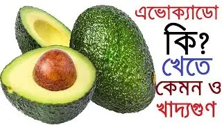 what is avocado ? | এভোক্যাডোর খাদ্যগুণ ও সাধ  | avocado in bangladesh