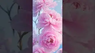 Скачать 