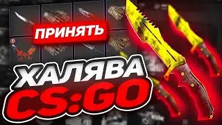 БЕСПЛАТНЫЕ СКИНЫ CS:GO - ЛУЧШИЕ САЙТЫ с ХАЛЯВОЙ CS:GO 2023 Года 🔥ТОП 3 Актуальных Сайтов