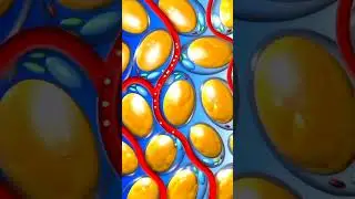 Мы выдыхаем жир, когда худеем!? /Beauty Joy #похудение #жиры #похудеть