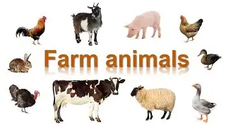 Животные на ферме по-английски [Farm Animals - English Vocabulary Flashcards]