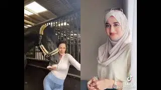 horses girl lover attendance😂😂🤣