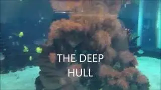 THE DEEP