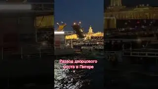 Развод дворцового моста в Питере