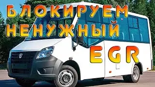 Газель 2.8 Камминс евро-4: отключение ЕГР и сажевого фильтра