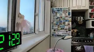 Отдыхаю в выходной день..