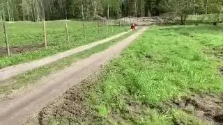 Это невероятно!!!! Но факт!