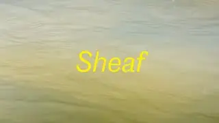 Sheaf