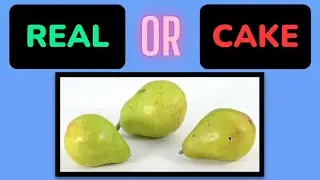 Is it Cake? | Cake or Fake | Reaction Video