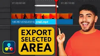 How to Export Only a PART of Timeline in DaVinci Resolve