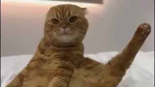 Опять что то придумала 🤪🤪🤪 