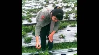 Bagaikan Langit Dan Bumi