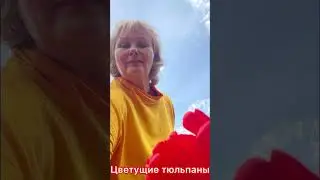 Московские сюжеты выходного дня