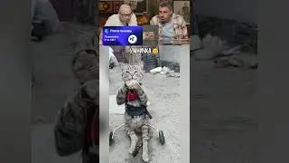 Умничка☺️