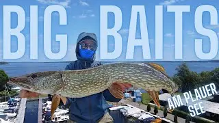 Bigbaits on Lake Plau: Fishing holiday on the lake district, for pike in the water desert!