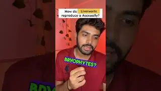 Bryophytes in NEET 2024🔥| Plant Kingdom Questions Practice | Class 11th